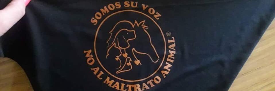 marunuzzo's profile banner image