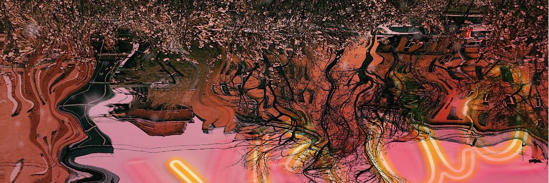 Haley___bass's profile banner image