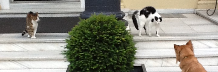 Robert Schuddeboom banner