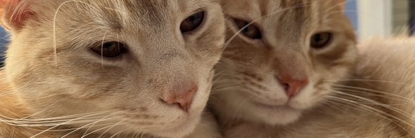 danielrskinner Profile Banner