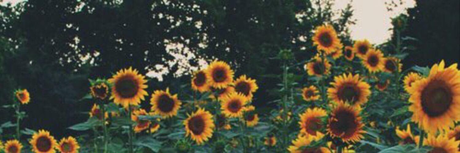 hellomadz's profile banner image