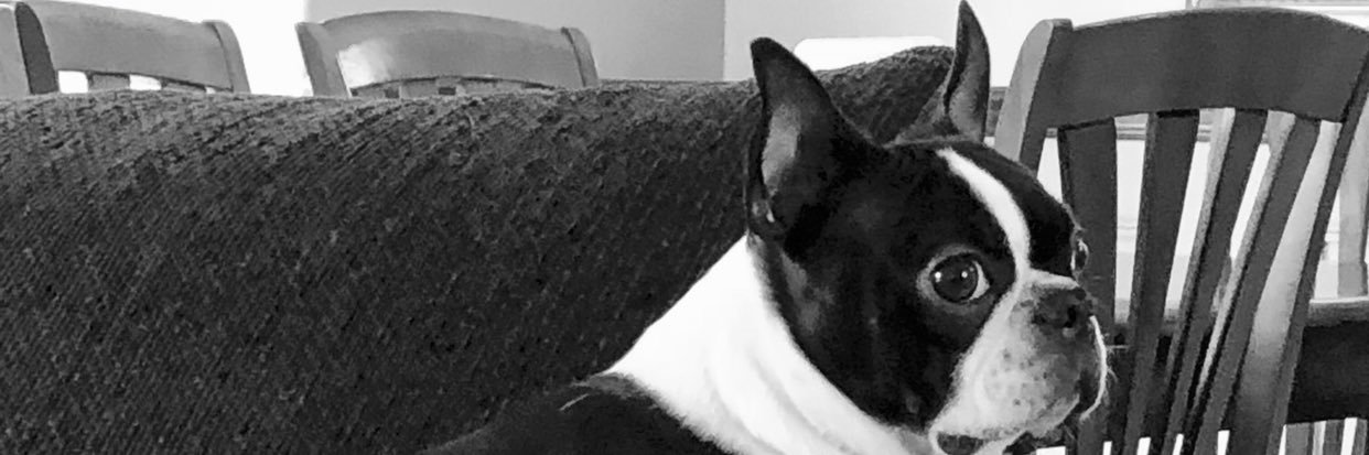 Sammy1399's profile banner image