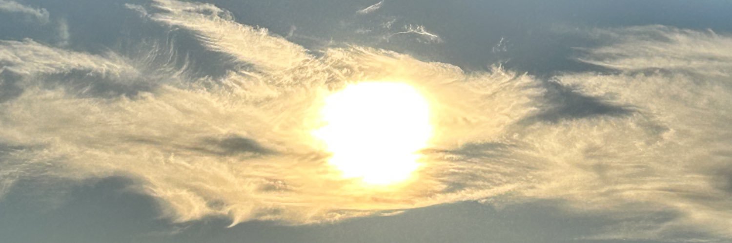 Priscila Stisman banner