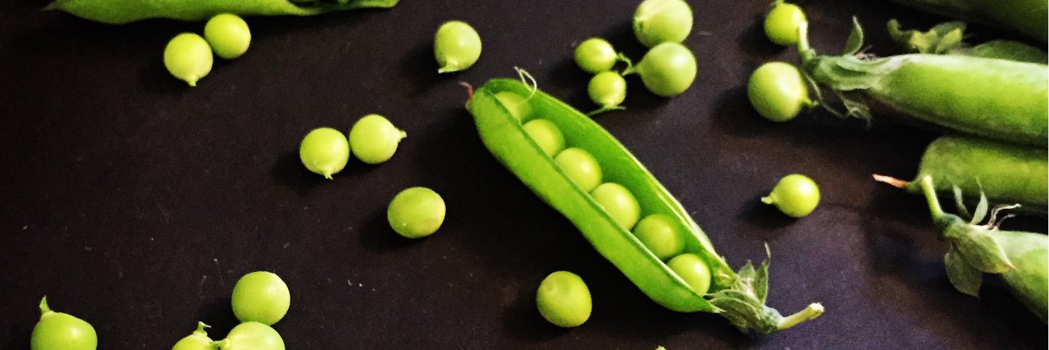 GrowCookEatRpt's profile banner image