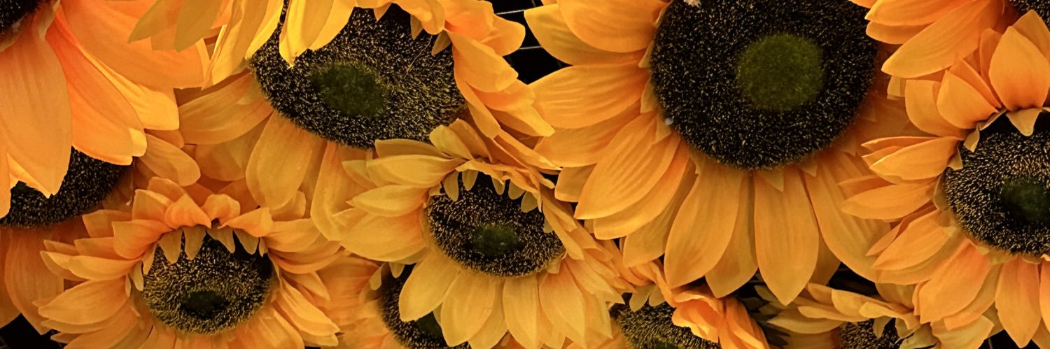 Estefi_pazmi's profile banner image