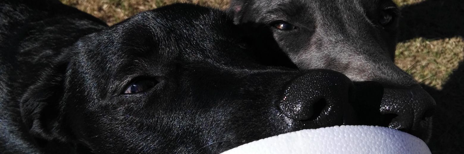 VickySenn's profile banner image