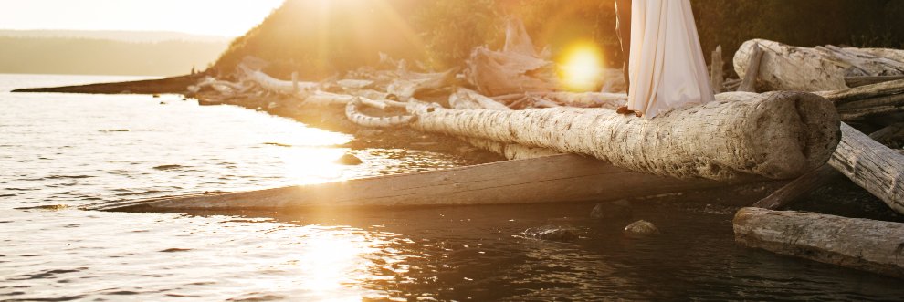 Shaquita Bell, MD banner