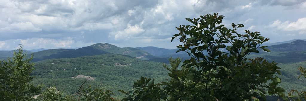 Suzanne White banner