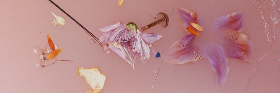 v banner