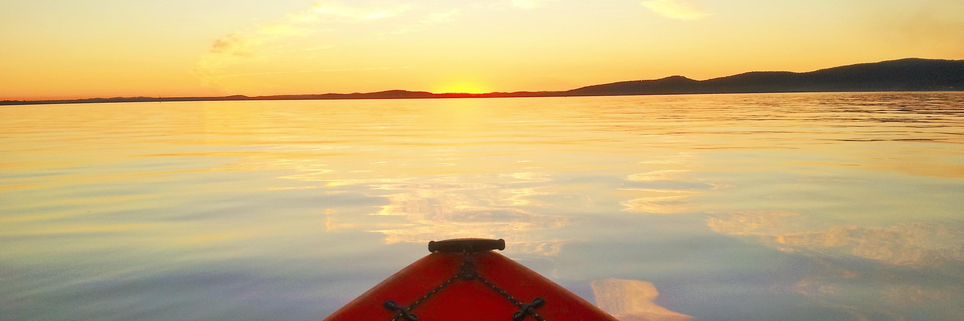 Charles Connell banner