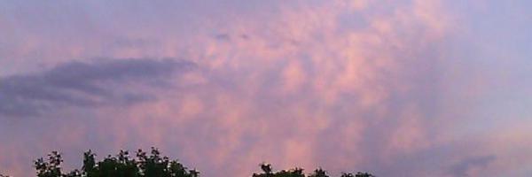 Mrs2023 Profile Banner