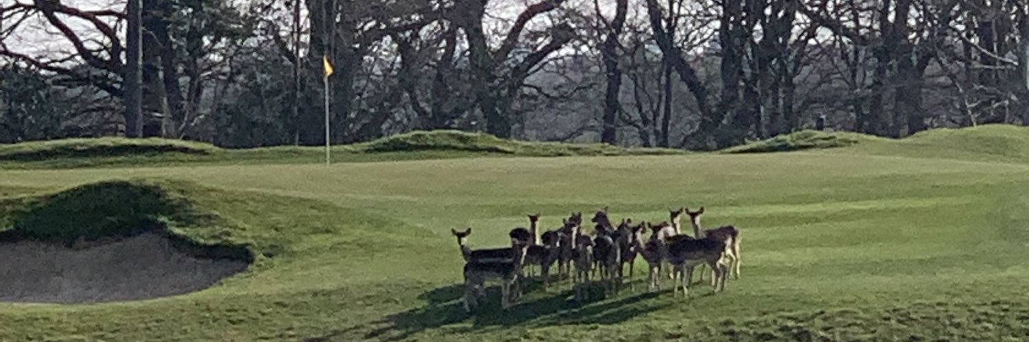 Richard Betts banner