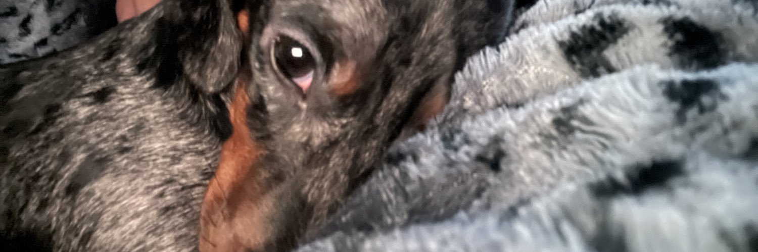 Desttinee_'s profile banner image