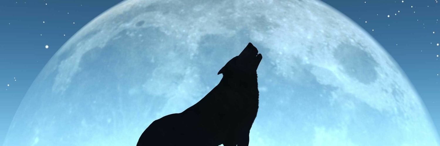 pegutierrezm's profile banner image
