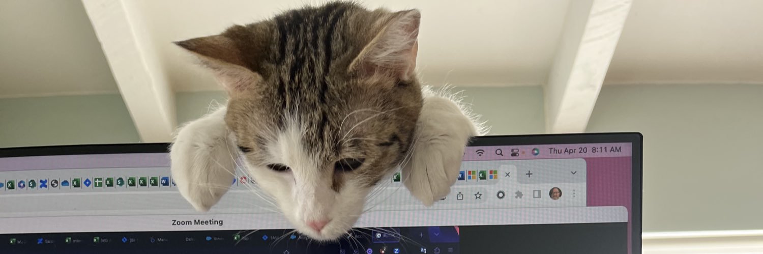 Ell_uhhhhh's profile banner image