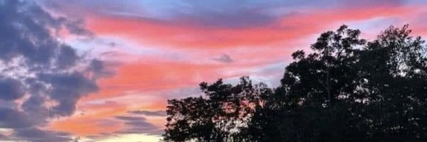 raulpereznegron Profile Banner