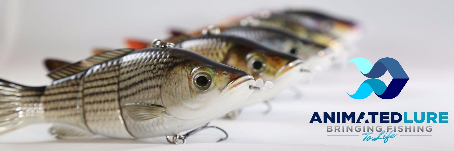 Animated Lure banner