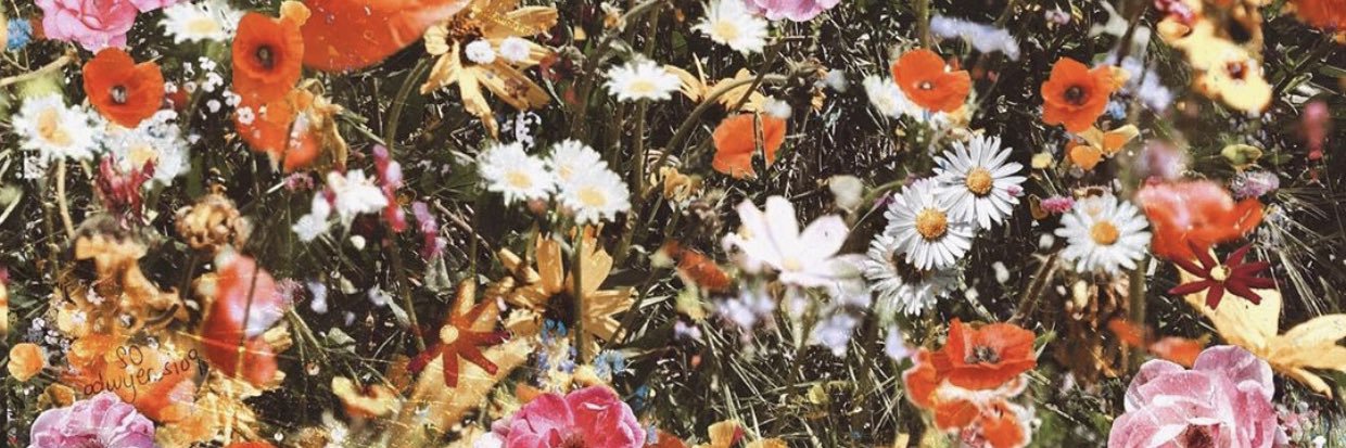 Cariisaginger's profile banner image