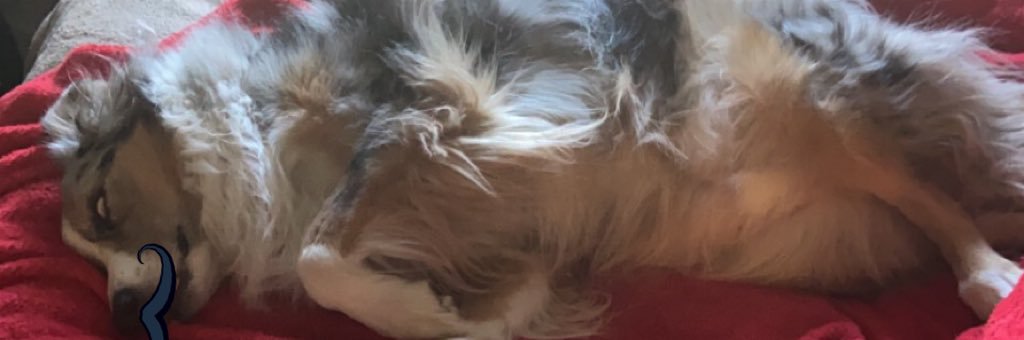 marcusetah24's profile banner image