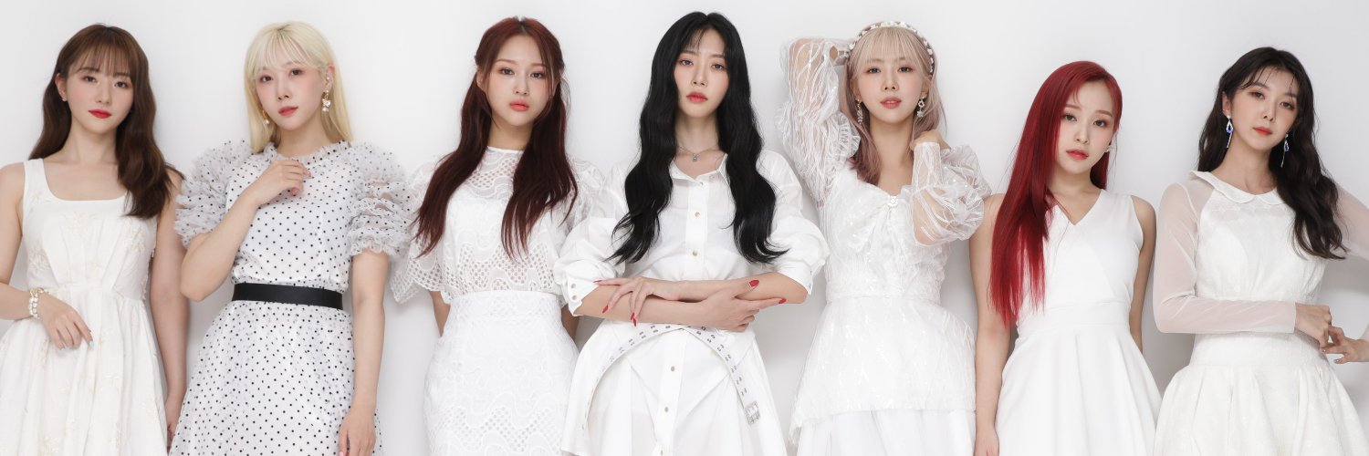 _discohamster's profile banner image