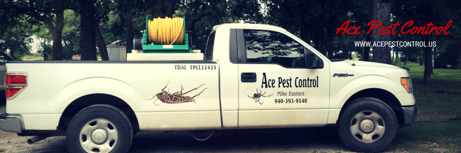 acepestcontrolb's profile banner image