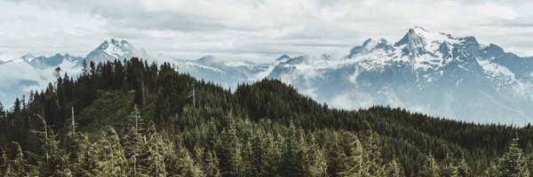 SheaErnshaw Profile Banner