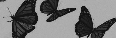 flosfleur_'s profile banner image