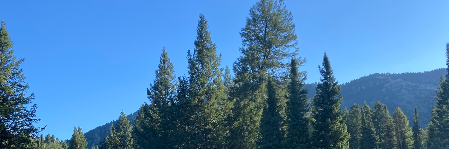katieadella's profile banner image