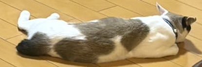 suoun13's profile banner image