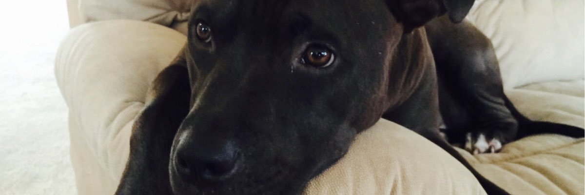 coldmadeena's profile banner image