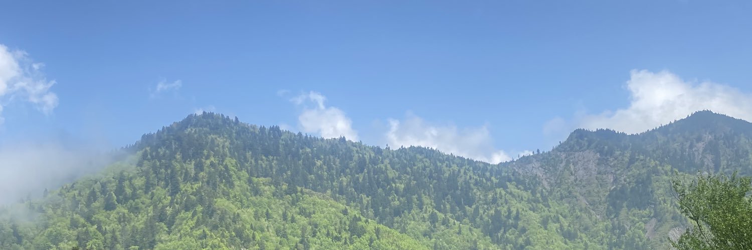 KELSIFAYE's profile banner image