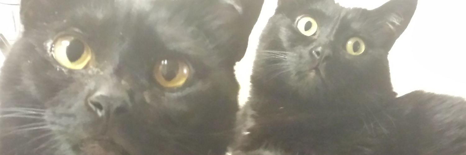 gregwharton1's profile banner image
