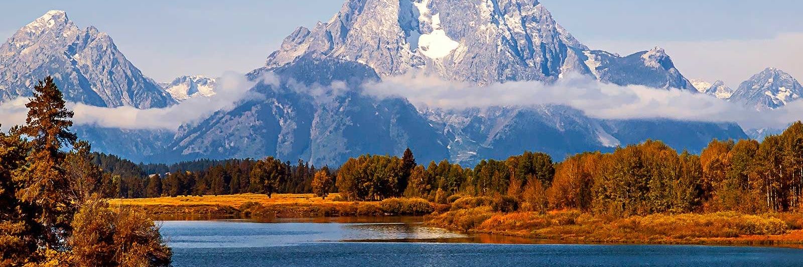 😶‍🌫️William🙏 banner