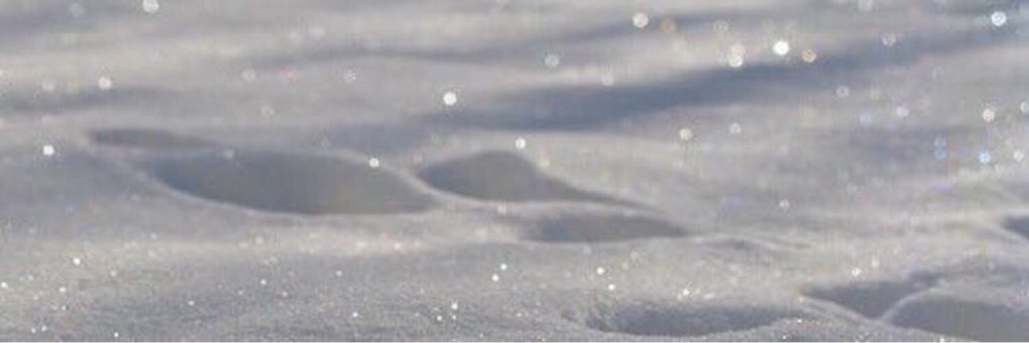 ali1100_xd's profile banner image