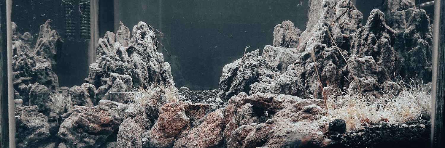 Pacoelkun's profile banner image