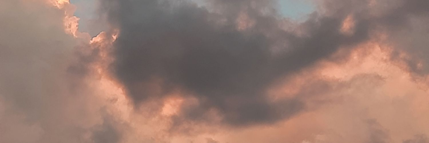 Finnsemoculos's profile banner image