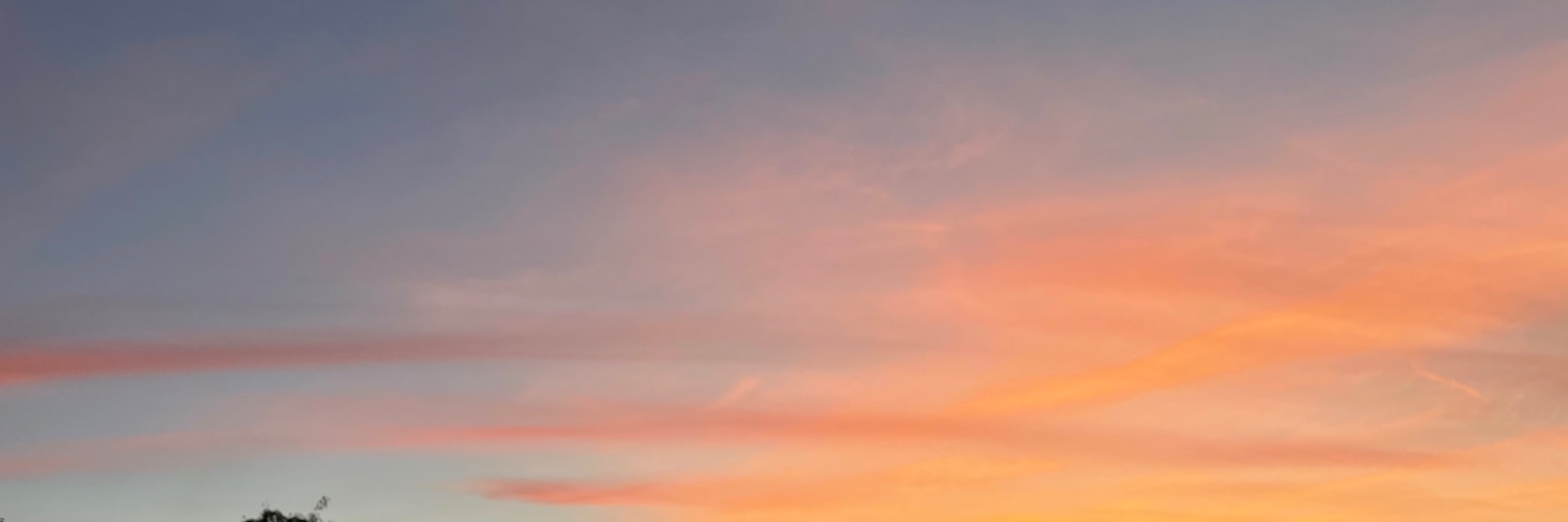 sumire9797's profile banner image