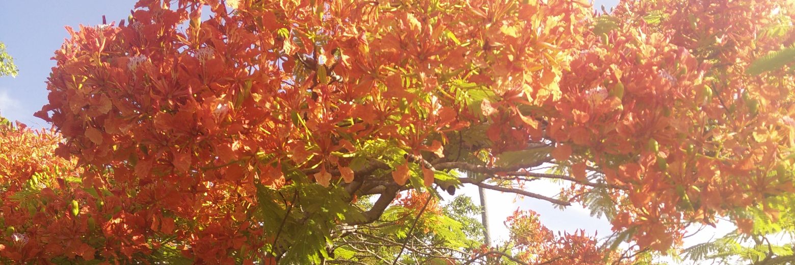 nsanti_3's profile banner image