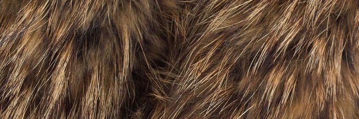 dihcheesepull7's profile banner image