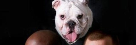 ivan_jaymes's profile banner image