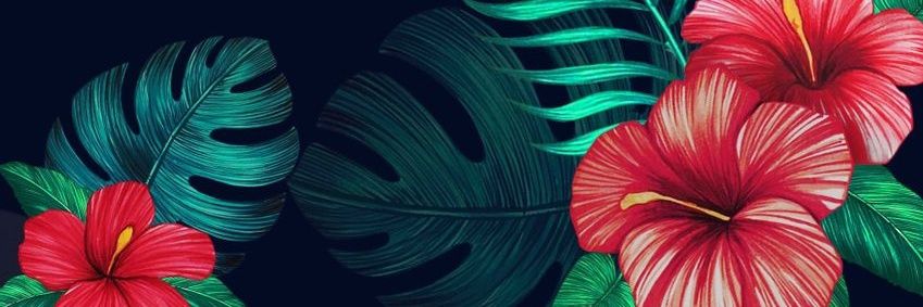 Big Daddy Breach banner