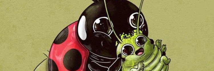 RyleePatterson2's profile banner image