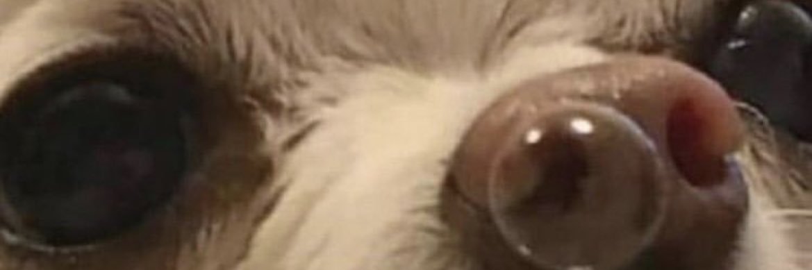 Corderox_0's profile banner image