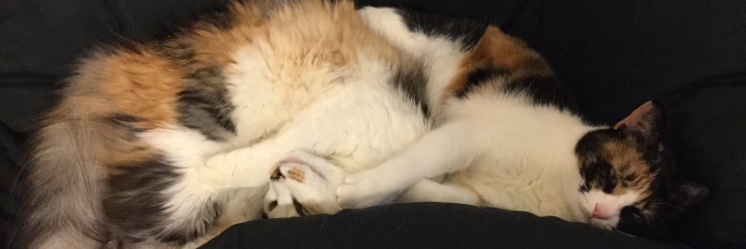 kwncat's profile banner image