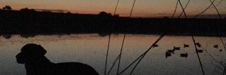 tyler kendrick banner