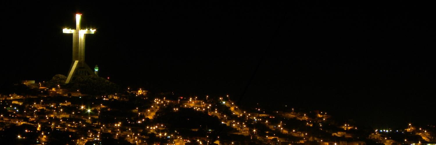 neludie's profile banner image