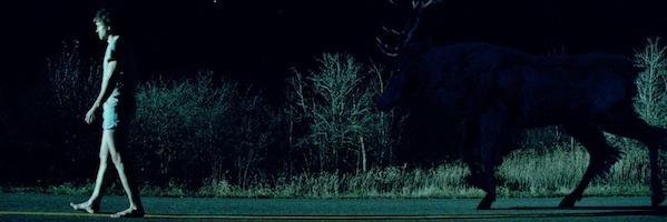 Deathfairy01's profile banner image