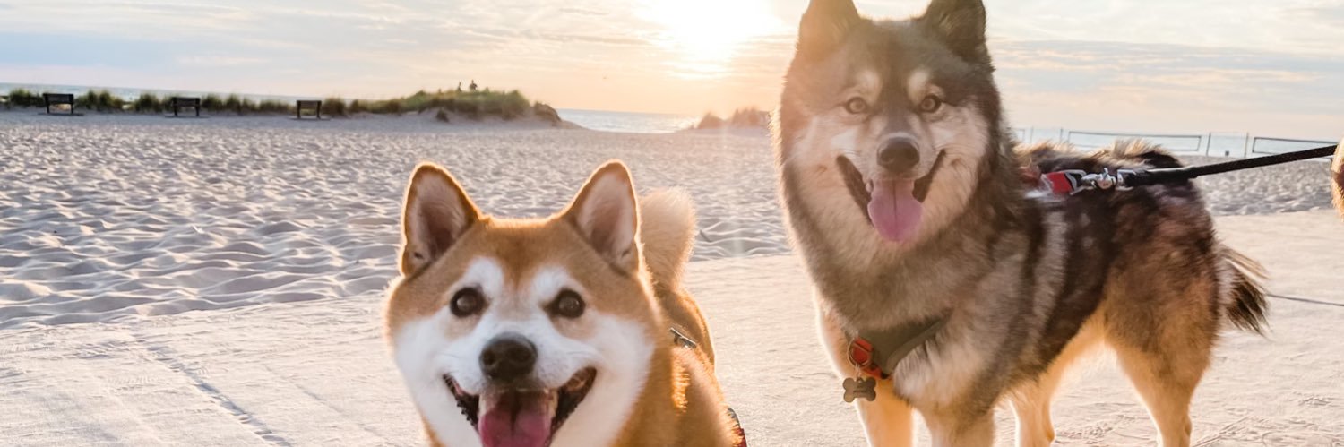 GeneSpilak's profile banner image