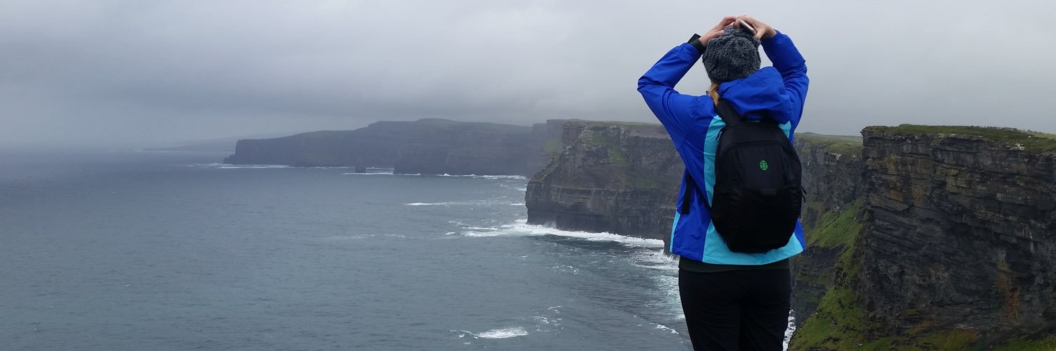 NaCl Antique Lizard banner