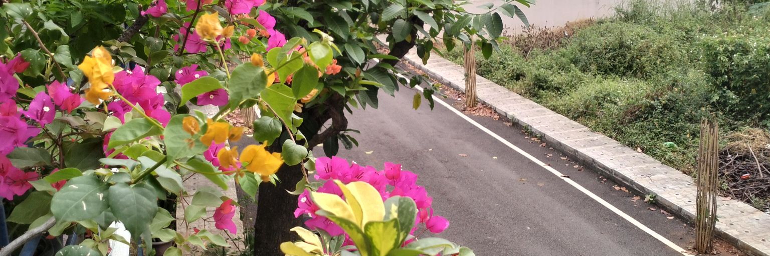BhatAshritha's profile banner image